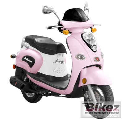 2011 Schwinn Hope 150 photo